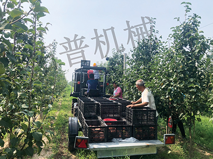 蘑菇视频在线免费播放