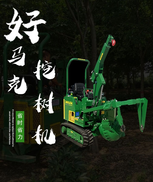 意大利好马克进口蘑菇成人电影