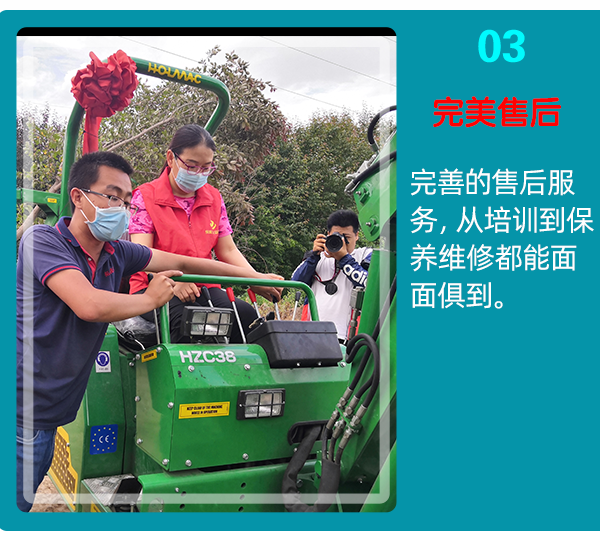 蘑菇成人电影