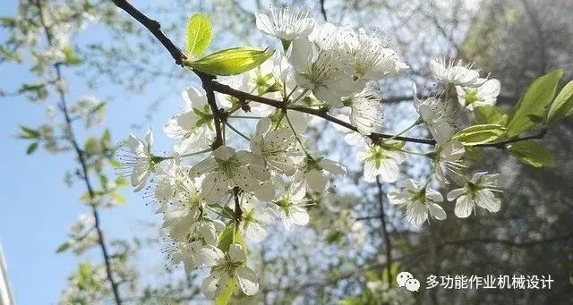 多功能果园作业平台--果园管理的好搭档！