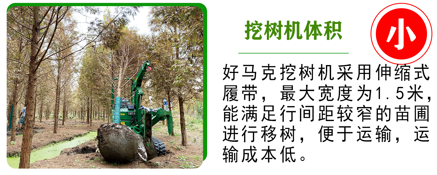 好马克蘑菇成人电影