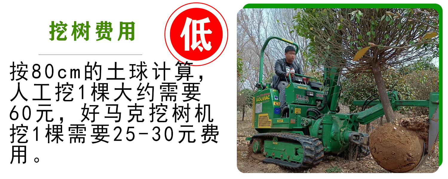 好马克蘑菇成人电影